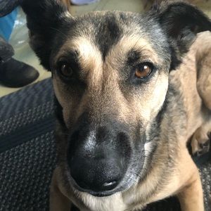 Meet your Posher, Darcelle